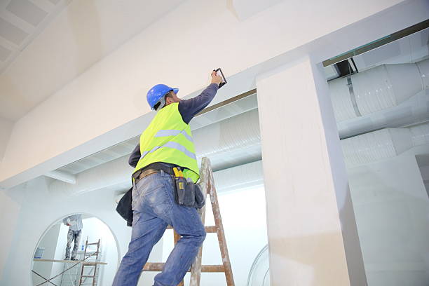 Best Fire-Damaged Drywall Repair  in Nicholson, GA